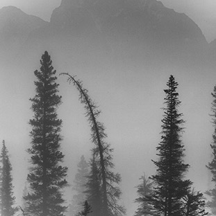 B&W Mountain Mist 001.jpg